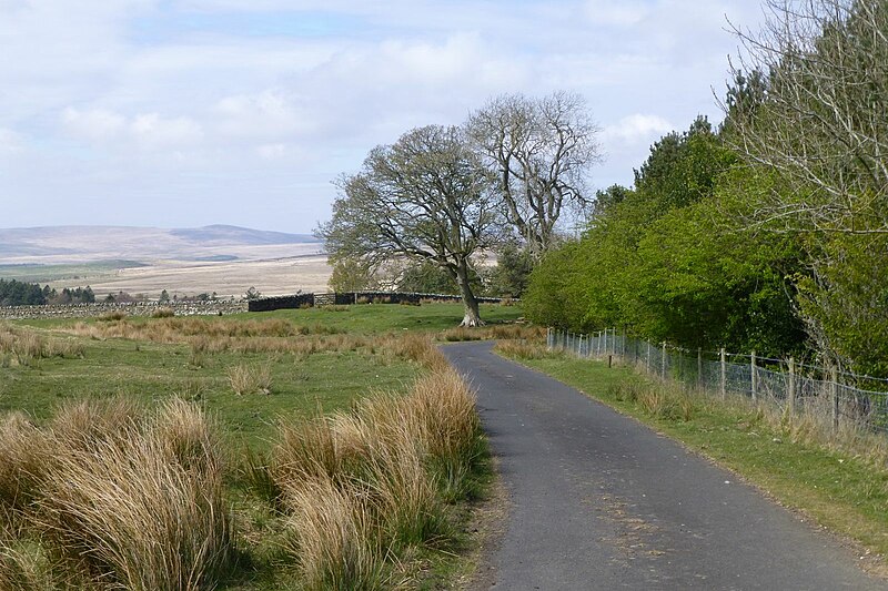 File:Access road on Davyshiel Hill - geograph.org.uk - 5379927.jpg