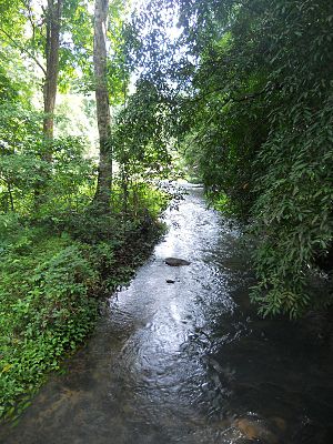 Achencovil river2.jpg