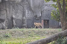 Zoological Garden, Alipore - Wikipedia