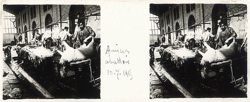 File:Amiens. abattoir. 10-07-15 - Fonds Berthelé - 49Fi111.jpg