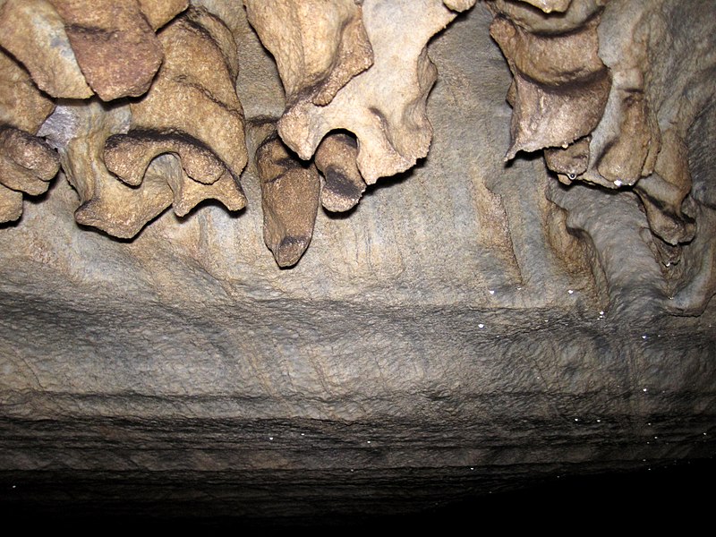 File:Anastomoses & pendants on ceiling 1 (8319812797).jpg