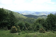 Dense forests characterize the national park