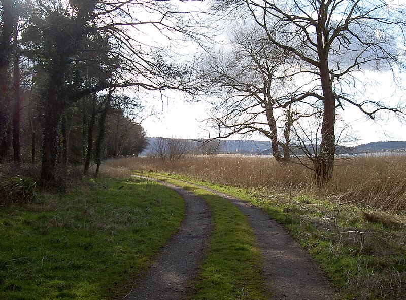 File:Around Wick Green Copse - geograph.org.uk - 4855160.jpg