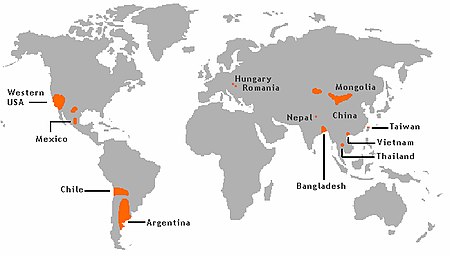 Tập_tin:Arsenic_contamination_areas.jpg