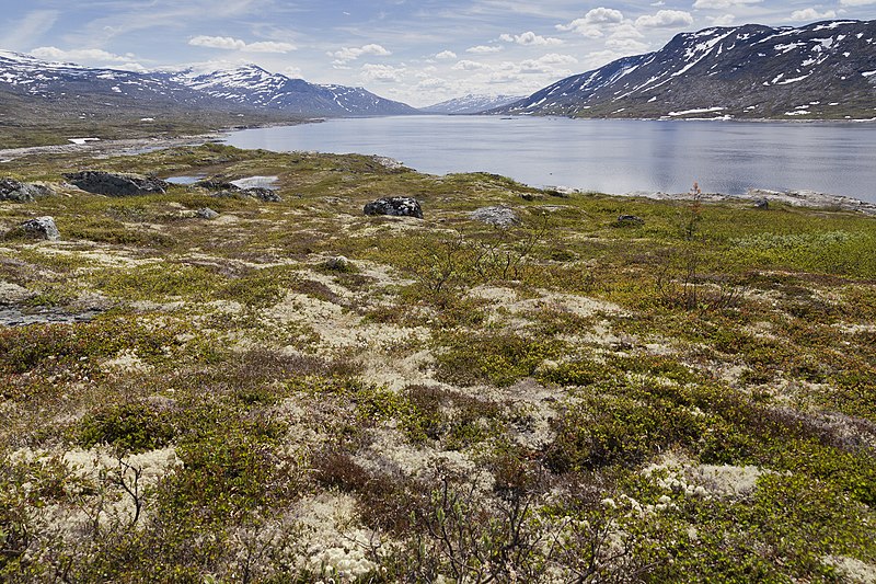 File:Aursjøen, Nesset, 2013 June.jpg