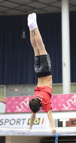 File:Austrian Future Cup 2018-11-23 Training Afternoon Parallel bars (Martin Rulsch) 0638.jpg
