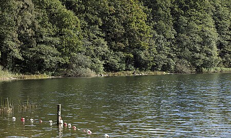 BLUNKER SEE, Strandabschnitt