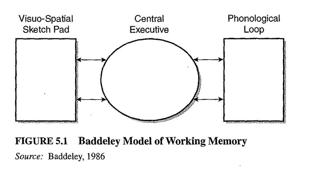 Бэддели ваша память. Модель рабочей памяти Баддели. Модель памяти Аткинсона Шиффрина. Baddeley working Memory.