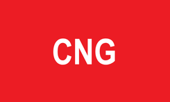 Bandera del CNG.png