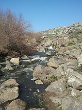 Bazelet River (14).jpg