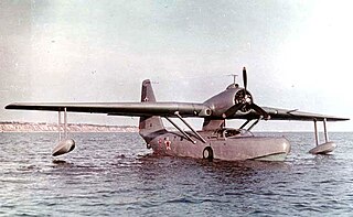 <span class="mw-page-title-main">Beriev Be-8</span> Type of aircraft