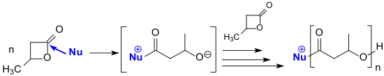 Ringöffnende Polymerisation von β-BL mit N-heterocyclischen Carbenen (NHCs)