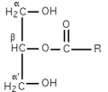 Figure 1 : β-monoglycéride.