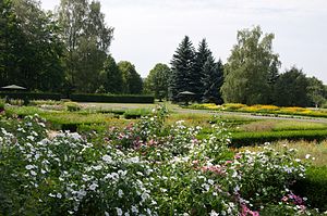 Łódź: Położenie, Środowisko naturalne, Klimat