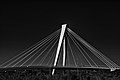 Cable-stayed bridge (tuibrug) 01.jpg