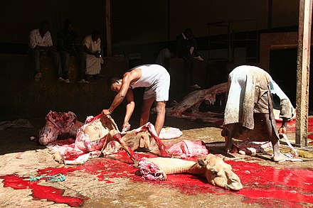Camel slaughter in Mauritania