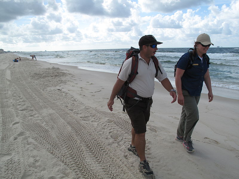 File:Carlos Pacheco and Kristen Gilbert walking the beach in Gulf Shores, Alabama (4832005962).jpg