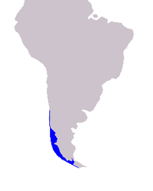 Cetacea range map Chilean Dolphin.PNG