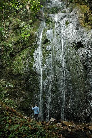 <span class="mw-page-title-main">Pha Daeng National Park</span> National park in Chiang Mai, Thailand