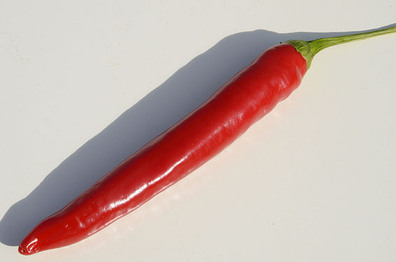 Red Chili