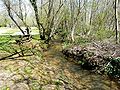 En aval du lavoir de Saint-Geniès