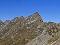 La cima del Fop vista dal monte Secco