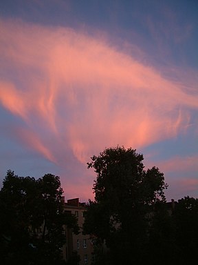 Una imagen de cirros contorneados que brillan en rojo en la puesta de sol. Rayas de otoño (como serpentinas largas y delgadas) descienden de las nubes.