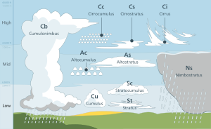 Tropospheric cloud classification by altitude of occurrence: Multi-level and vertical genus-types not limited to a single altitude level include nimbostratus, cumulonimbus, and some of the larger cumulus species. Cloud types en.svg