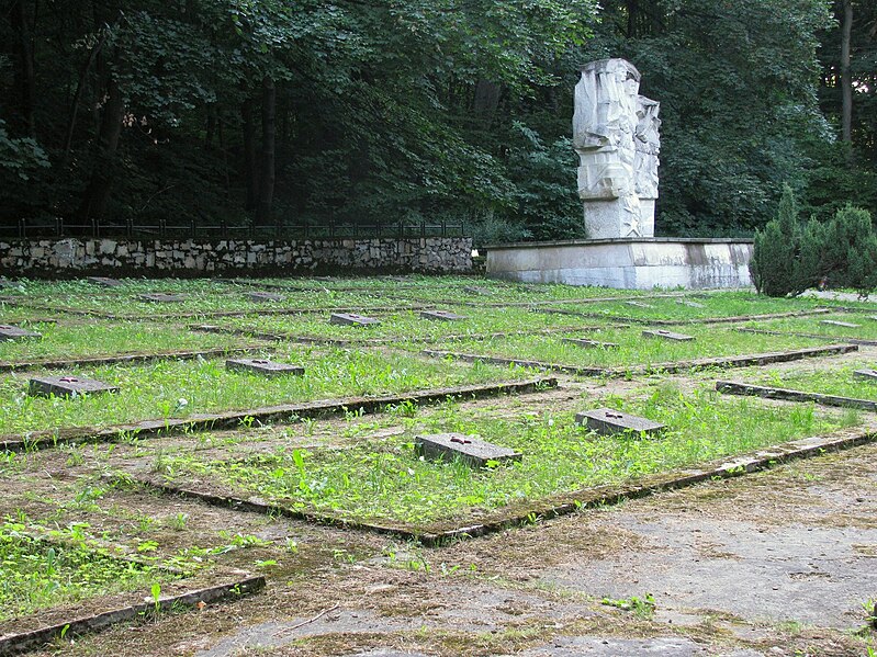 File:Cmentarz Łysiec.JPG