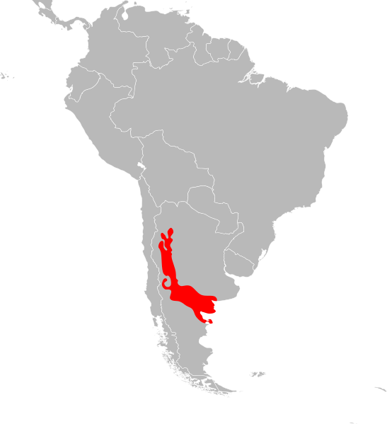 File:Cnemidophorus longicaudus distribution.svg