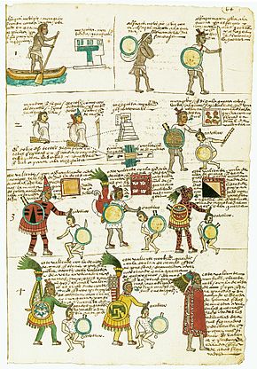 This page from the Codex Mendoza shows the gradual improvements to equipment and tlahuiztli as a warrior progresses through the ranks from "commoner" to "porter" to "warrior" to "captor", and later as a noble progressing in the warrior societies from the "two-captive" to "Butterfly" to "Jaguar warrior" ("Eagle warrior" not included) to "Otomitl" to "Shorn One" and finally as "Tlacateccatl". The Butterfly Warrior, Otomitl, and Shorn One figures wear the pamitl. Codex Mendoza folio 64r.jpg