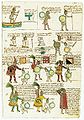 Folio 64 faţă (top) Îndatoririle şi drepturile preoţilor începători . (jos) Rangurile atribuite războinicilor.