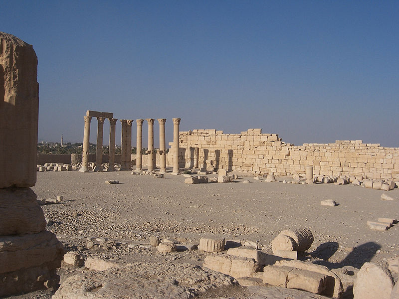 File:Colonnade at Palmyra (II) - 5514614703.jpg