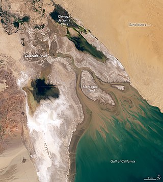 <span class="mw-page-title-main">Colorado River Delta</span> River delta in Baja California and Sonora, Mexico