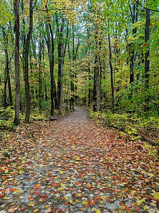 <span class="mw-page-title-main">Highbanks Metro Park</span> Park and nature preserve in Lewis Center, Ohio, U.S.