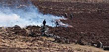 Controlled burning of gorse in Devon, England Controlling gorse on Dartmoor 752.jpg