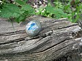 A COVID-19 lockdown pebble in Joyden's Wood.