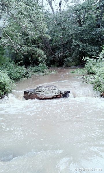 File:Corredeira em Palmácia.jpg