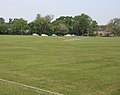 Cricket pitch - geograph.org.uk - 816971.jpg