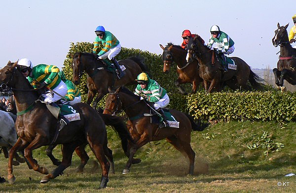 Cross-country chase, 2010