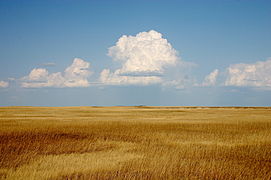 Prærie: Badlands National Park, Sør-Dakota, USA.