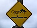 Cyclists beware sign, Dunedin, NZ.JPG