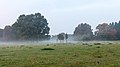 * Nomination Wildpark in morning fog, Dülmen, North Rhine-Westphalia, Germany --XRay 06:20, 29 December 2015 (UTC) * Promotion Good quality. --Jacek Halicki 09:05, 29 December 2015 (UTC)