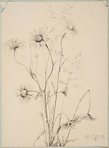 Study of flowers, drawing (1895) by Philippe Wolfers, collection King Baudouin Foundation