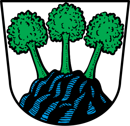 DEU Steinsberg COA