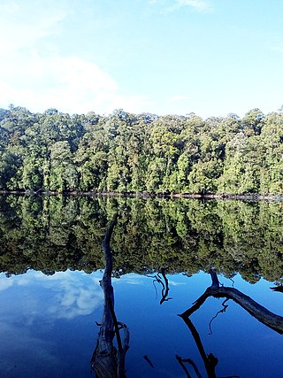 <span class="mw-page-title-main">Mount Patah</span> Quaternary age volcano on Sumatra