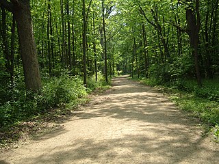 <span class="mw-page-title-main">Des Plaines River Trail</span> Recreational trail area through northeastern Illinois, United States