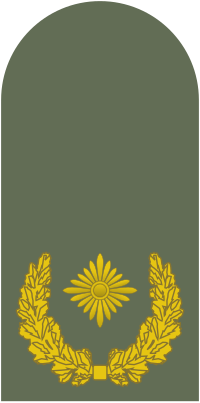 Sličica za Brigadni general (Bundeswehr)