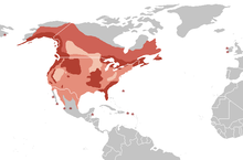 Distribuição H. leucocephalus.png