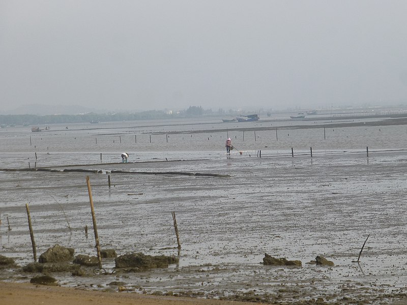 File:Donghai Island - P1570627 - south shore.JPG